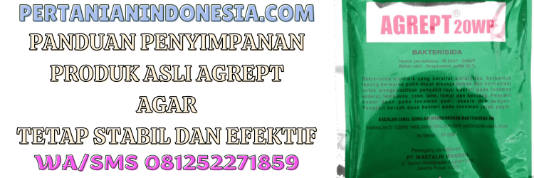 pestisida,pestisida jenis bakterisida,bakteri,penyakit,tanaman,pertanian indonesia